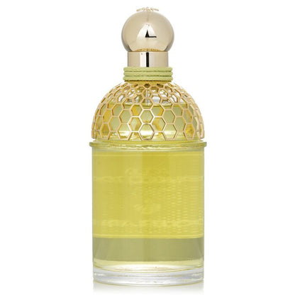 Guerlain Aqua Allegoria Harvest Nerolia Vetiver Eau De Toilette 125ml