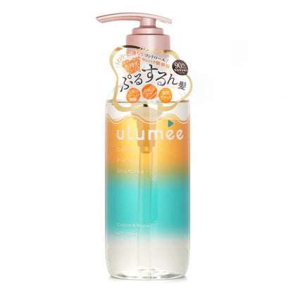 ulumee Control Protein Shampoo 480ml